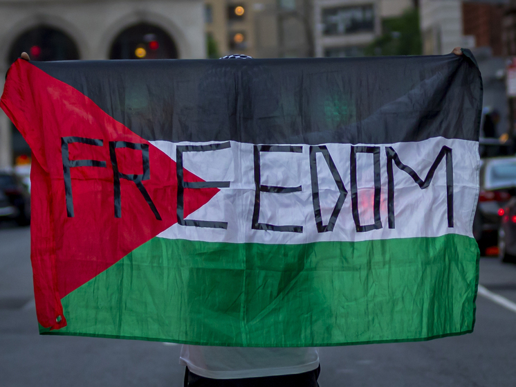 Служба лондонской полиции задержала 466 участников акции в поддержку Палестины