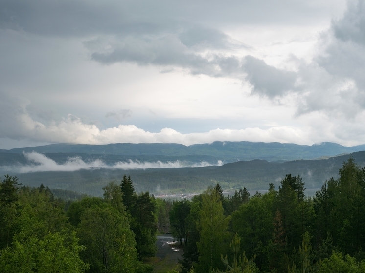 Облачность и небольшие дожди ожидают томичей 10 августа