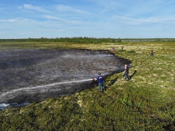 Огнеборцы МЧС России и окружные спасатели ликвидируют природный пожар