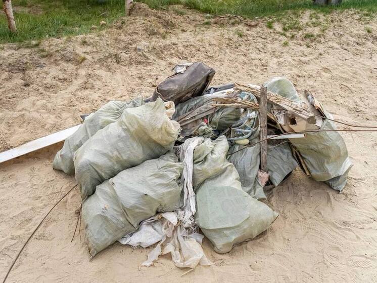 11 нелегальных свалок ликвидировали в Салехарде