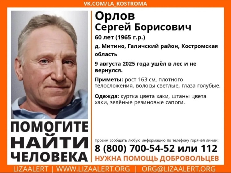Костромские волонтеры просят о помощи в поисках пропавшего грибника