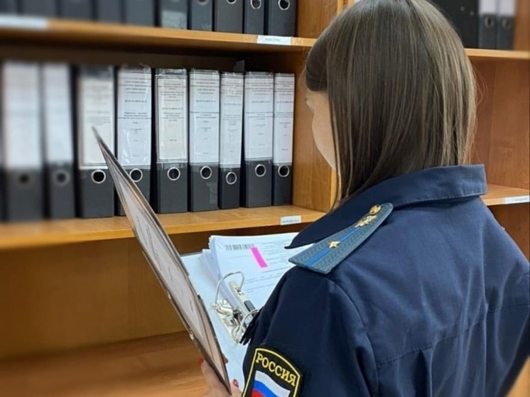 Тамбовские судебные приставы помогли отцу вспомнить о своих детях