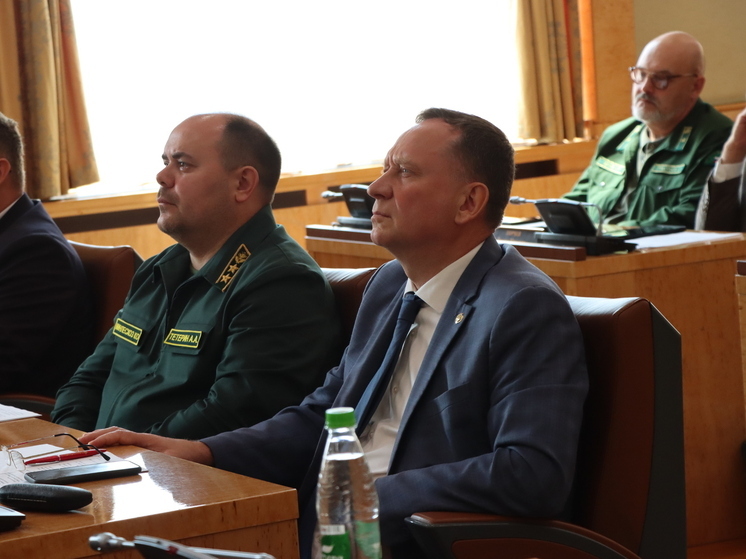 В Чувашии лесовосстановление опережает вырубку