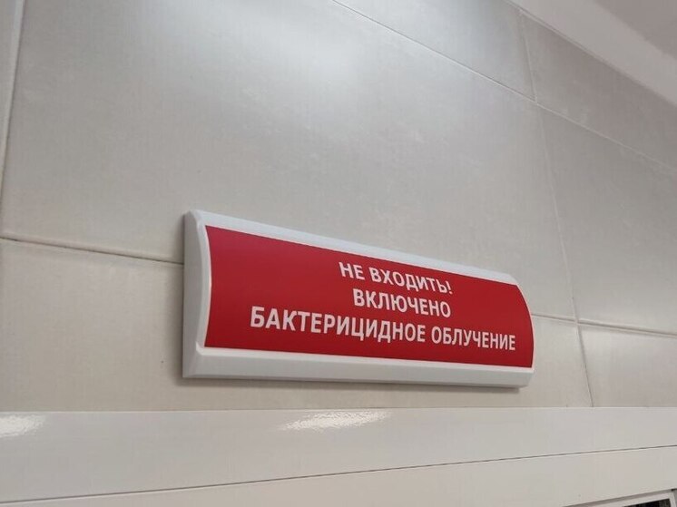 Новгородцам назвали сыпь и боль в суставах главными симптомами лихорадки чикунгунья