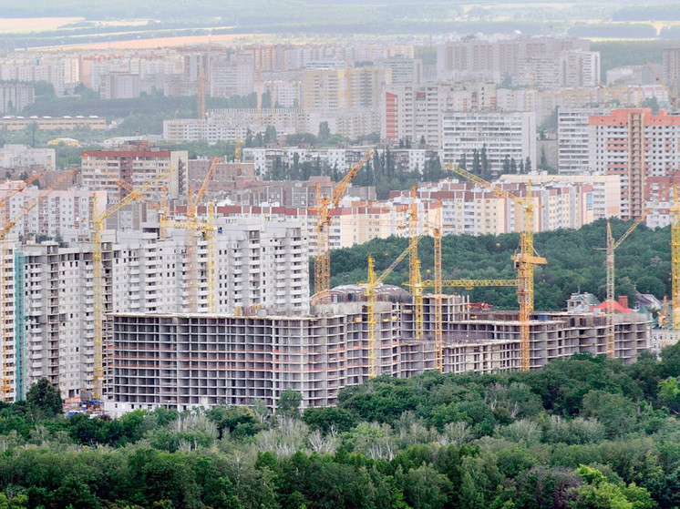 Александр Гусев и Владимир Нетёсов отметили достижения воронежских строителей