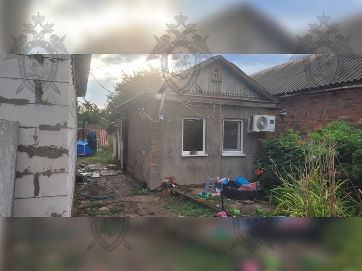 В Ростовской области после гибели двухлетнего ребенка на пожаре возбудили уголовное дело