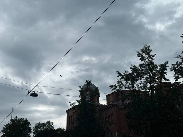 Новая неделя в Новгородской области начнется с дождей