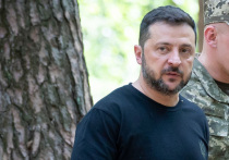 У Зеленского и его европодельников, похоже, прошел первый шок от известия о российско-американском саммите на Аляске
