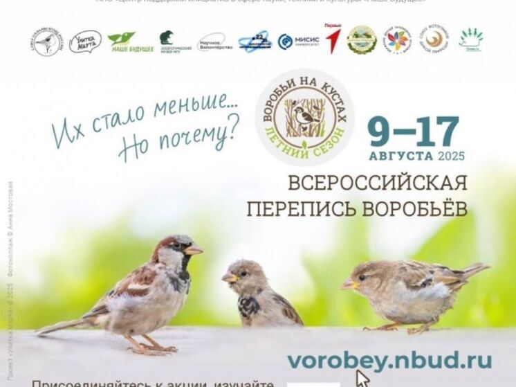 В Курской области пересчитают воробьев