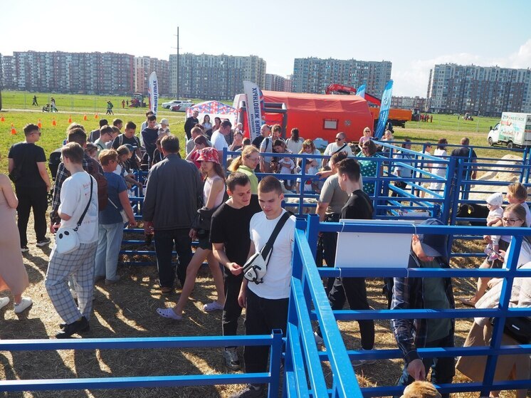 Финал чемпионата по пахоте: деловая программа, награждение лучших и Дима Билан