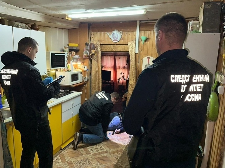 Жителя Архангельской области обвиняют в убийстве полицейского