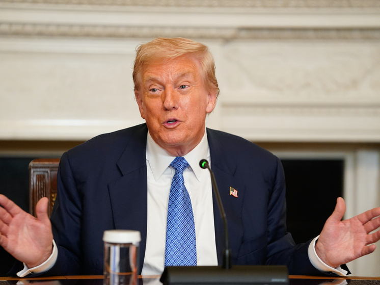 Северо-Балтийская восьмерка поддержала мирную инициативу Трампа по Украине