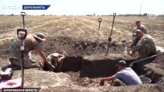 В СК сообщили об обнаружении поисковиками в Запорожской области останков солдат Красной Армии