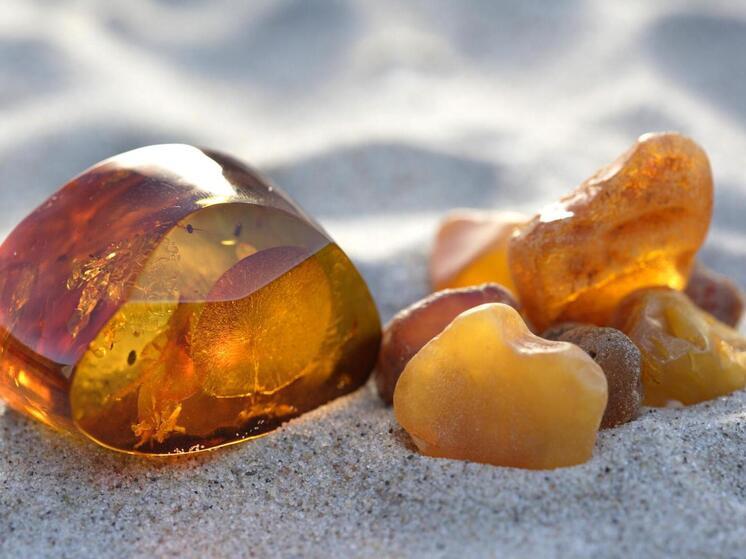 На берег Балтийского моря после шторма вынесло россыпи янтаря