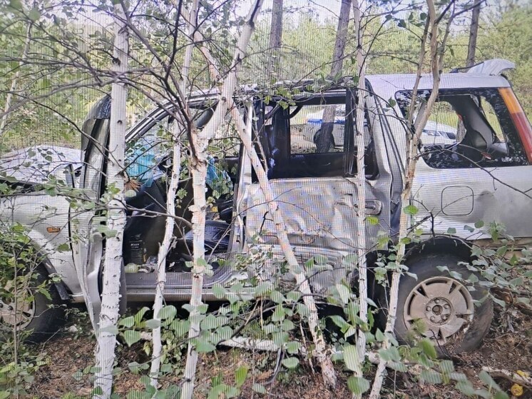 Автомобиль врезался в дерево в Забайкалье, пострадали три человека