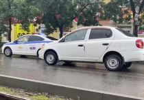 В Бийске на улице Васильева вечером 10 августа произошло ДТП на пешеходном переходе. Водитель автомобиля сбил двоих детей в тот момент, когда те переходили дорогу по «зебре».