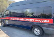 В Информационный центр СК обратилась жительница Славгорода, новорожденная дочь которой скончалась в районной больнице в апреле прошлого года