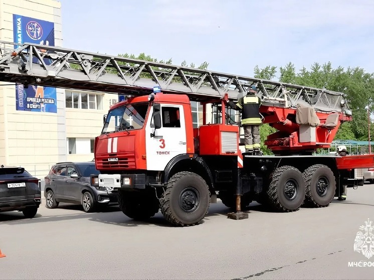 Шесть возгораний ликвидировали томские пожарные за минувшие сутки