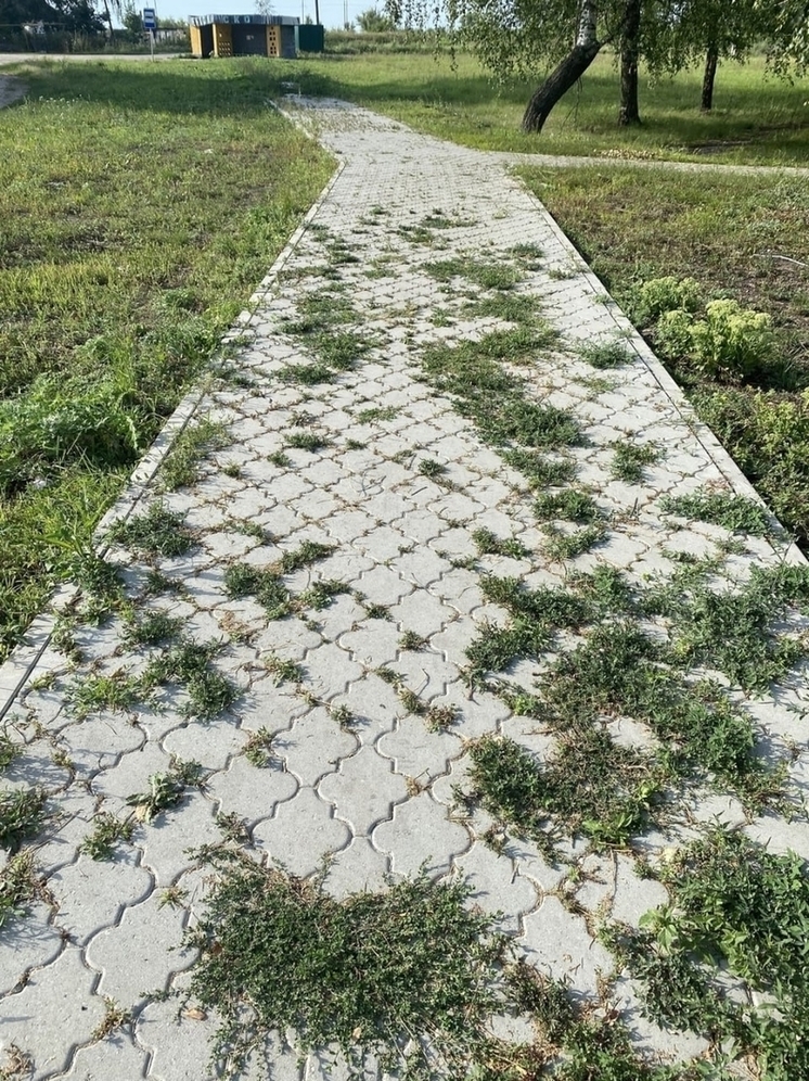 В Ливенском районе благоустроенные территории заросли травой