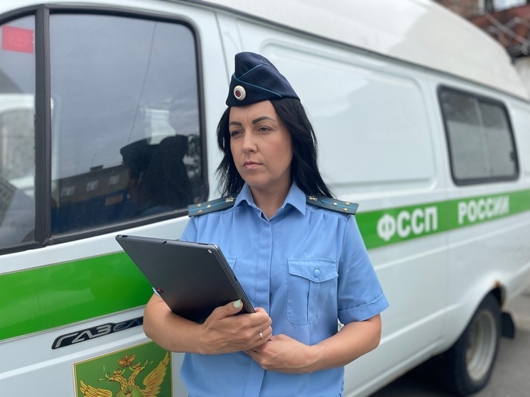 В Бердске арестовали имущество автоледи из-за долга в 350 тысяч