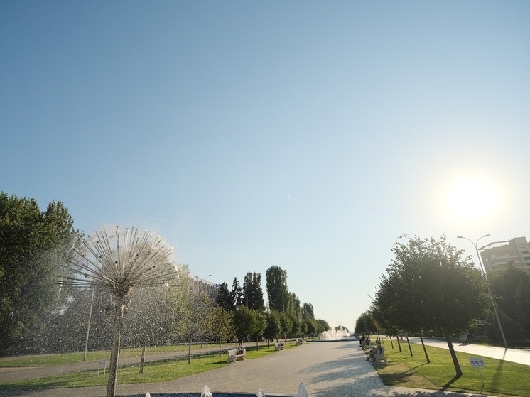 11 августа в Волгоградской области синоптики обещают до +30 ℃