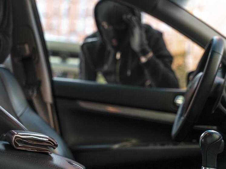 В Тольятти задержали подозреваемого в краже из автомобиля