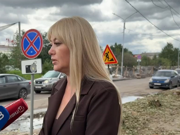 В Улан-Удэ спилили тополя на улице Ленина – власти объяснили причины