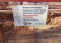 В Самаре на 8 улицах временно отключат холодную воду 11 августа 2025 года

В Самаре 11 августа начались очередные работы на водоводах ХВС