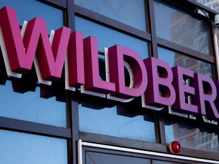 Wildberries ответила нижегородцам, выступающим против стройки склада