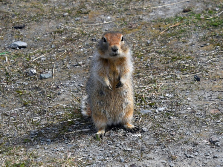 До -2 похолодает в отдельных районах округа в понедельник ночью