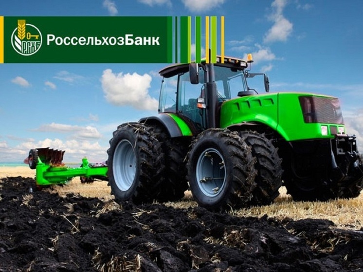 РСХБ увеличил кредитование полевых работ в 2025 году в Ивановской области на 40%
