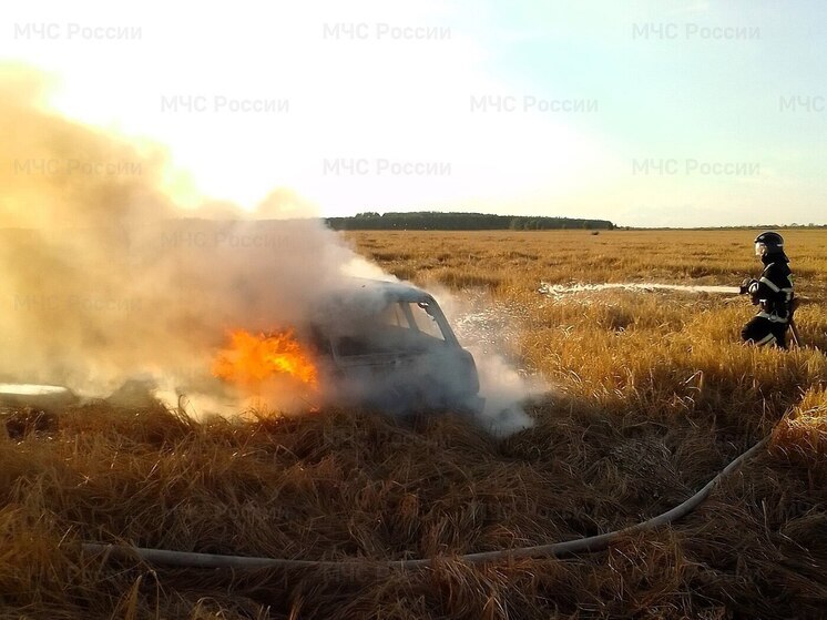 В Чувашии за сутки огонь уничтожил и повредил два автомобиля