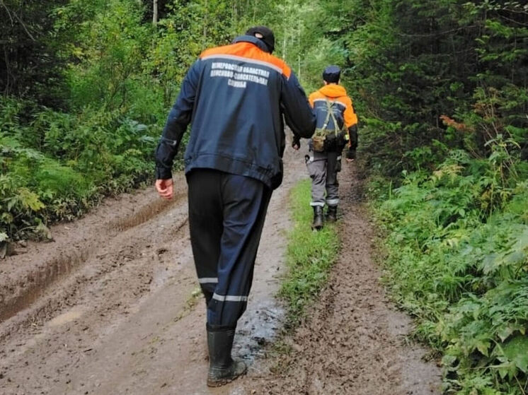 Семья с ребенком была найдена спасателями в лесу Кузбасса