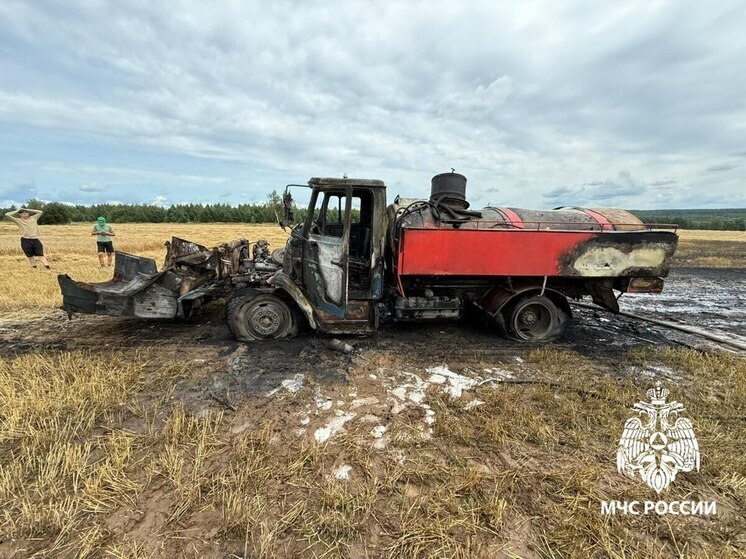 МЧС: Шесть пожаров ликвидировали в Рязанской области за сутки