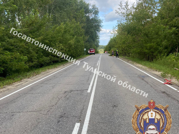 После столкновения Hyundai и Renault под Тулой пострадали два ребёнка