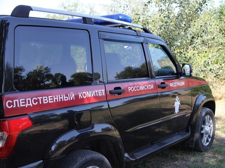 В Запорожской области нашли пропавшую 12-летнюю девочку