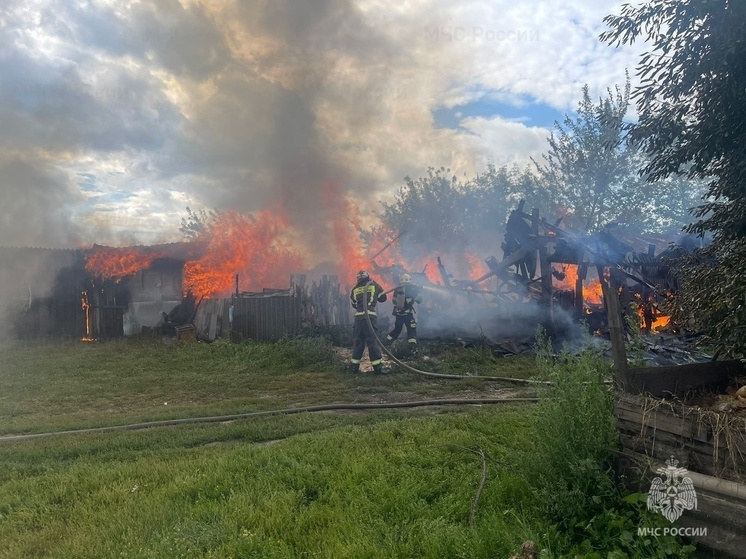 В Орловской области горели хозпостройки