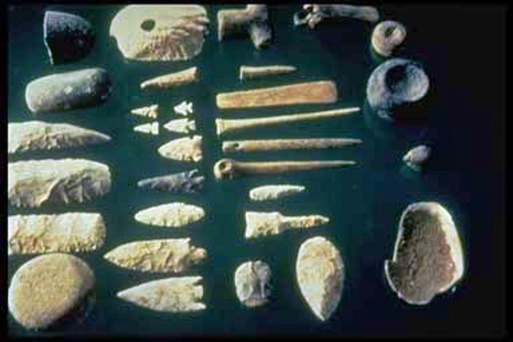 Каменные орудия возрастом 1,5 миллиона лет переписывают историю человечества