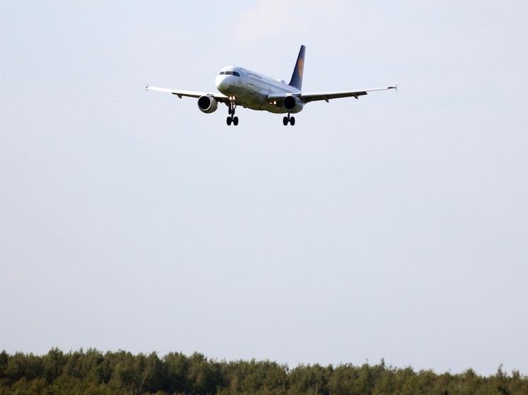 Пантелеев: в России может не хватить пилотов для новых самолетов в России