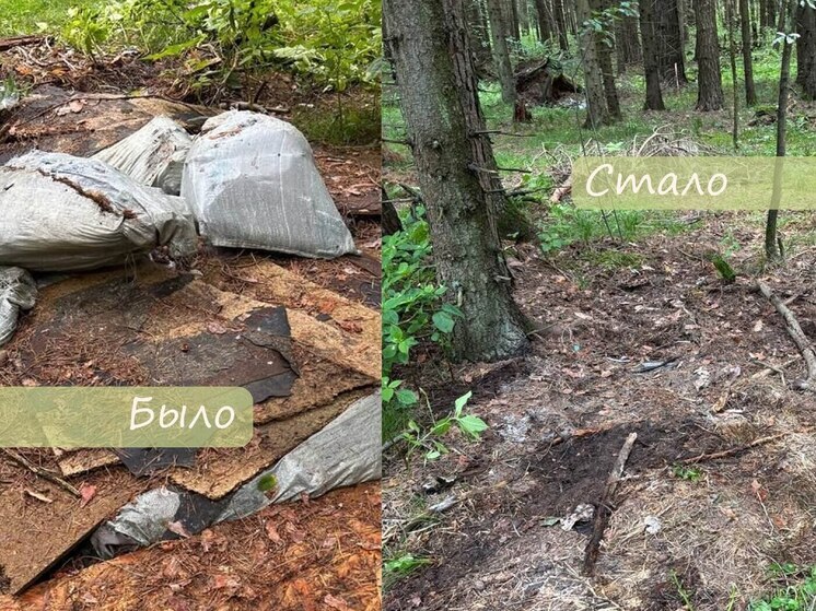 В калужских «Сосновых борах» убрали свалку