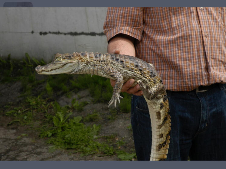 Западному таможенному посту сбора и анализа информации о контроле за доставкой товаров – 30  лет