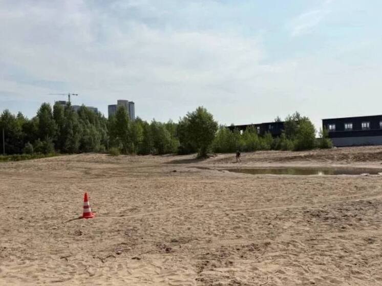 Водитель, сбивший женщину на пляже в Новосибирске, извинился и готов компенсировать моральный ущерб