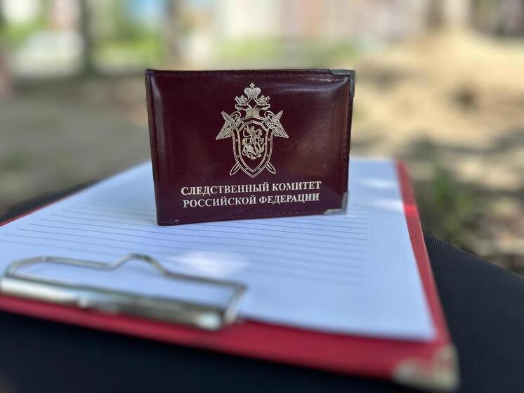 Житель поселка Винзили предстанет перед судом по обвинению в убийстве