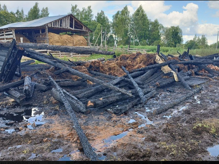 В Угличском районе пожарные спасли двух коз и теленка
