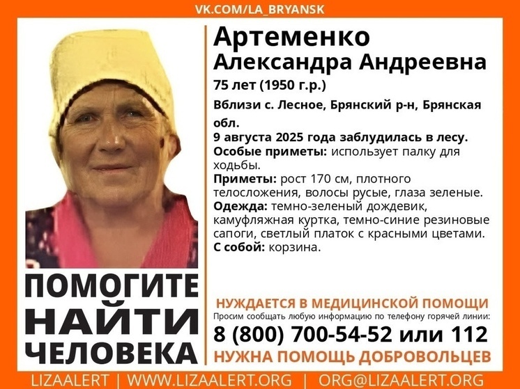 В Брянской области ведутся поиски пропавшей Александры Артеменко