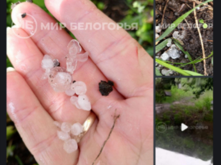 В Шебекинском округе прошел град