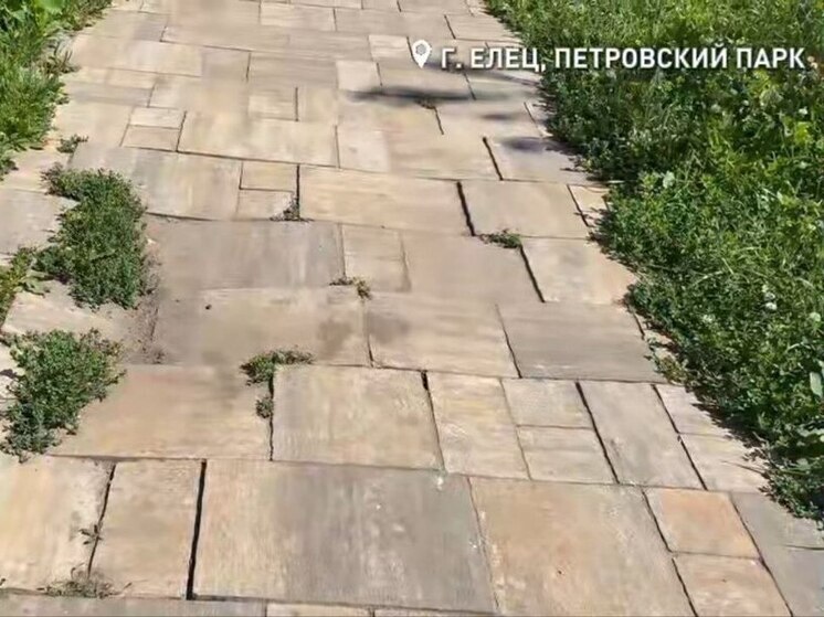 В Ельце выявили разруху в нескольких общественных зонах