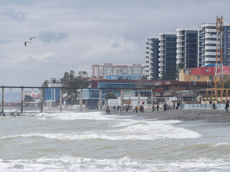 В Сириусе закрыли рынок со смертоносной чачей