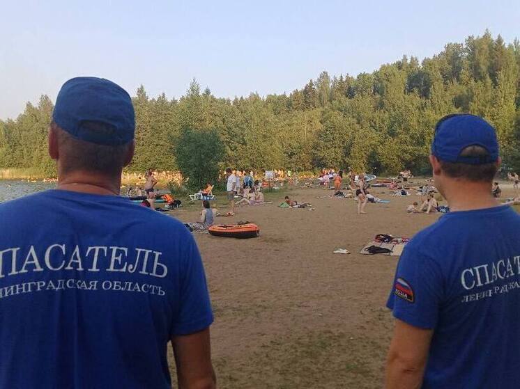 За неделю спасатели Ленобласти выезжали на вызовы 40 раз