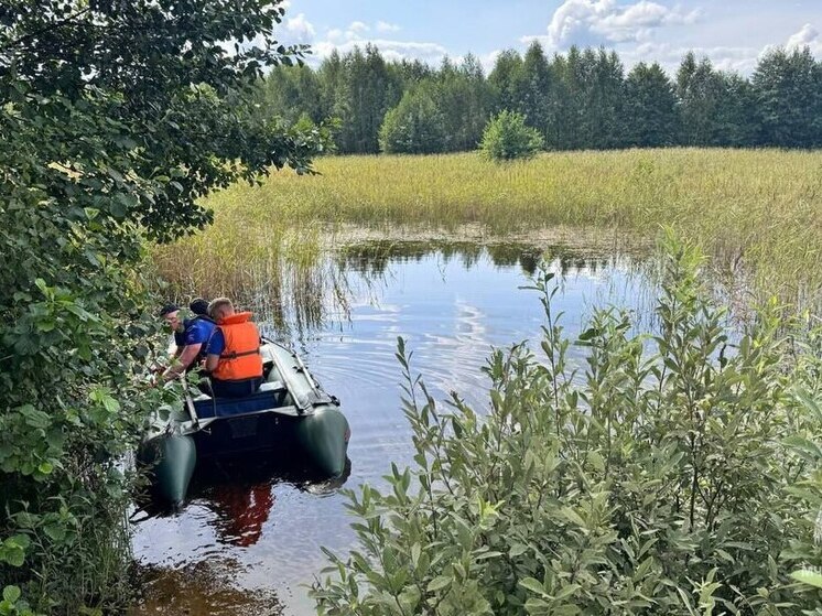 В Гусь-Хрустальном мужчина утонул в запрещенном для купания месте